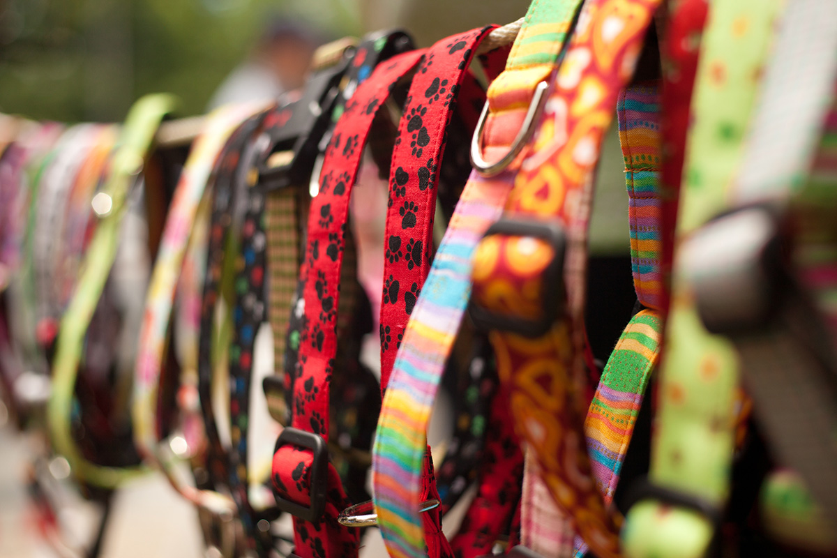 Pet store Communication, Execution and Automation | Bindy